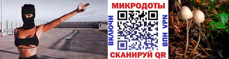 Галлюциногенные грибы MAGIC MUSHROOMS  Сафоново 