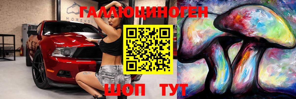 Сафоново  Псилоцибиновые грибы MAGIC MUSHROOMS  Вход с VPN 